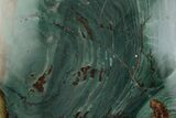 Gary Green Jasper (Larsonite) Bog Wood Slab - Oregon #377753-1